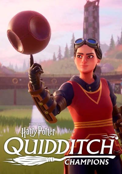 harry-potter-quidditch-champions