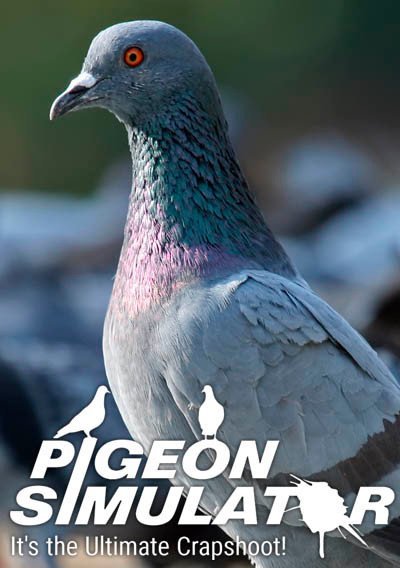 pigeon-simulator