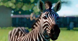 В Steam симулятор зоопарка Planet Zoo продают со скидкой 60%