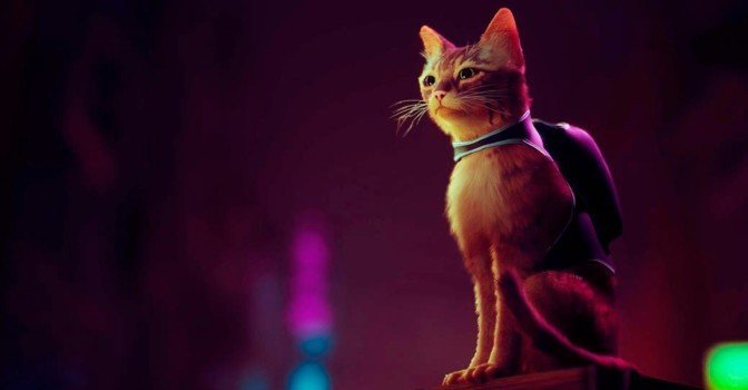 Сегодня выйдет Stray, игра про приключения кота в кибергороде