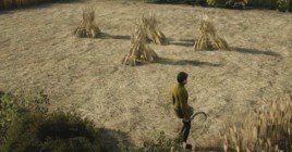 Как выращивать и использовать зерно в Manor Lords