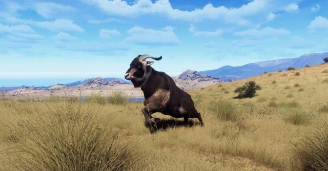 Для симулятора охоты Way of the Hunter вышло DLC Matariki Park