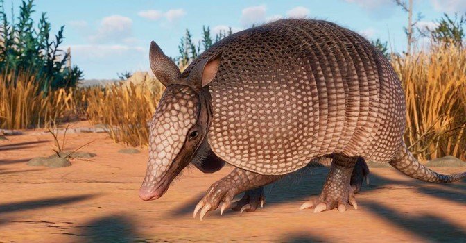 Вышел DLC-набор «Луга» для симулятора зоопарка Planet Zoo