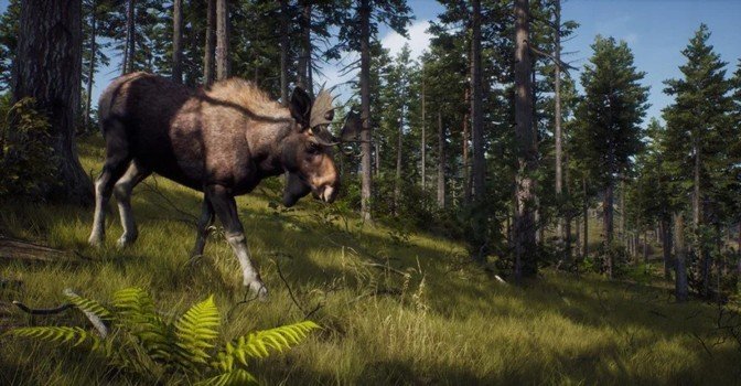 Way of the Hunter получила геймплейный трейлер