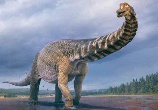 На ПК вышел симулятор палеонтологии Dinosaur Fossil Hunter