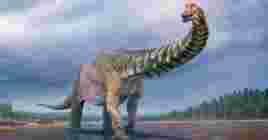На ПК вышел симулятор палеонтологии Dinosaur Fossil Hunter