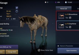 Как приручить лошадь в Black Desert Mobile — гайд