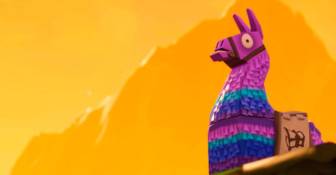 Ударные гранаты в Fortnite подарили игрокам баг с лутом