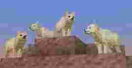 Для Minecraft вышло бесплатное DLC про животных Planet Earth 3