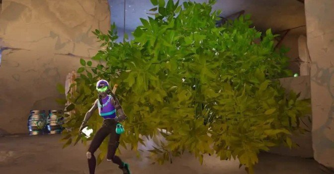 Как спрятаться в разных кустах, которые вы бросили в Fortnite
