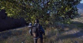 Как получить оливки в АРК Рейдерс: где фармить