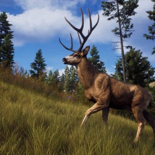 Скриншот Way of the Hunter