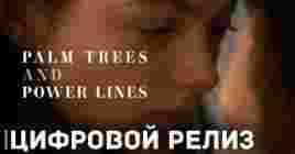 В цифре вышел фильм «Пальмы и линии электропередач»