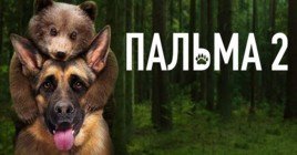 Опубликовали трейлер продолжения фильма «Пальма»