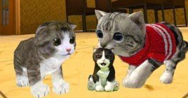 Пять лучших игр о кошках на Android и IOS