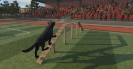 Вышел Animal Trainer Simulator – симулятор дрессировщика животных