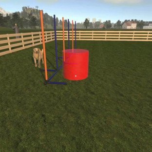 Скриншот Animal Trainer Simulator