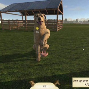 Скриншот Animal Trainer Simulator