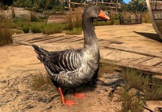 Мод добавил в The Witcher 3: Wild Hunt улучшенные модели животных