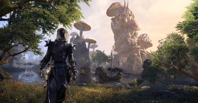 Джей Фальконер оспаривает товарный знак Elder Scrolls 6