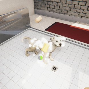 Скриншот Animal Shelter