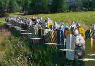 В новом геймплейном ролике Manor Lords показали систему сражений