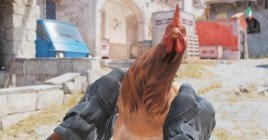 В шутере Counter-Strike 2 отыскали анимацию осмотра куриц