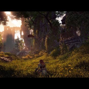 Скриншот Horizon Zero Dawn