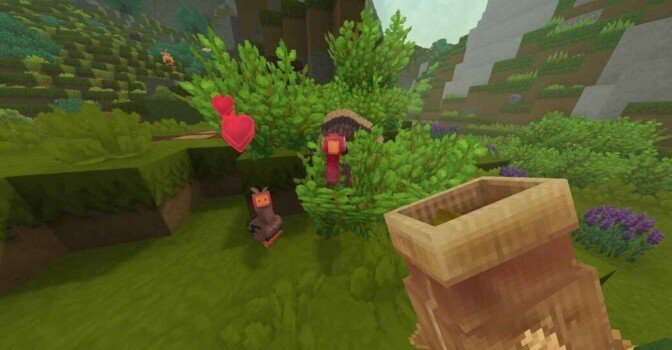 Приручение животных в Хайтейл: как приманивать и ухаживать