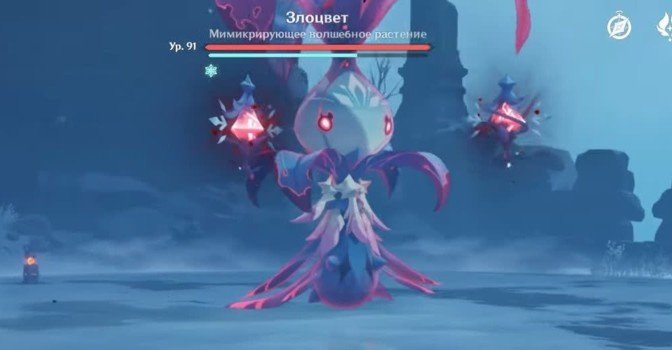 Как найти и победить Злоцвета в Genshin Impact