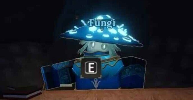 Магазин Гриба Фунги в Ковке: как найти, все товары