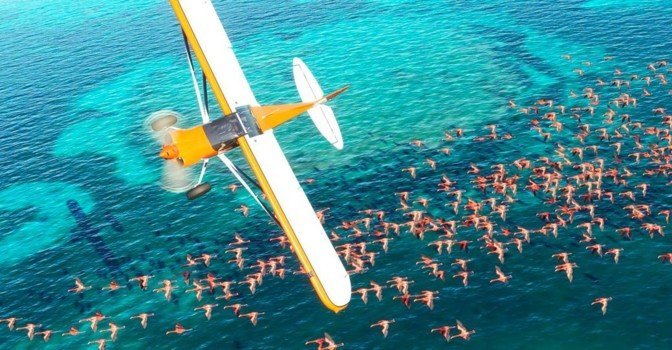 Названы системные требования Microsoft Flight Simulator