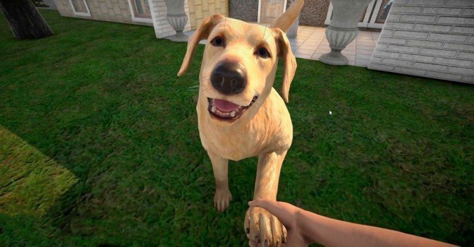 Pets Hotel – состоялся выход симулятора гостиницы для животных