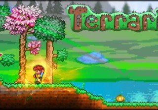 Terraria завоевала миллион положительных отзывов в Steam