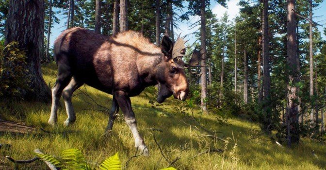 В трейлере Way of the Hunter показали Тихоокеанский Северо-Запад