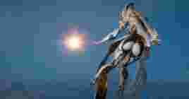 Экшн Warframe выйдет на новых консолях