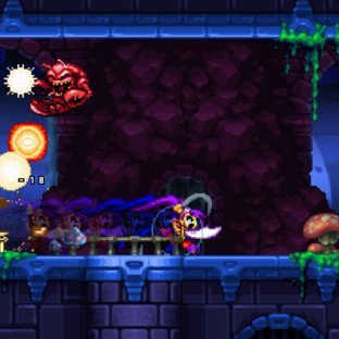 Скриншот Shantae and the Pirate's Curse