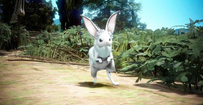 В Black Desert разрешили продлевать время действия Свитков удачи