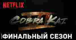 Официально последний сезон сериала «Кобра Кай»