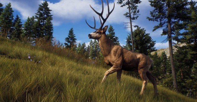 Симулятор охоты Way of the Hunter получил свежий трейлер