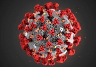 В игре Foldit можно попытаться сделать вакцину от коронавируса