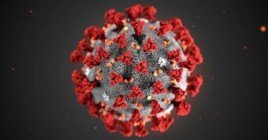 В игре Foldit можно попытаться сделать вакцину от коронавируса