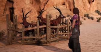 Питомцев в Conan Exiles придется кормить